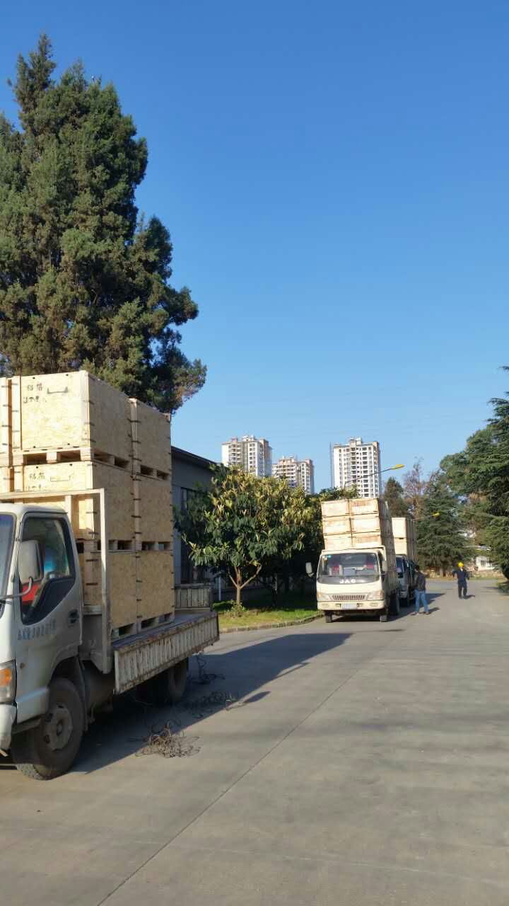 云南木托盤出廠要經(jīng)過哪些檢測(cè)